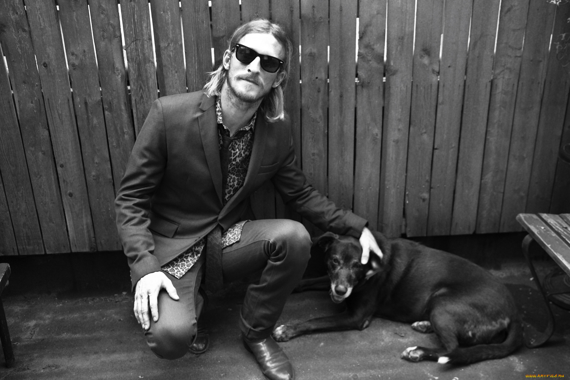 , austin amelio, austin, amelio